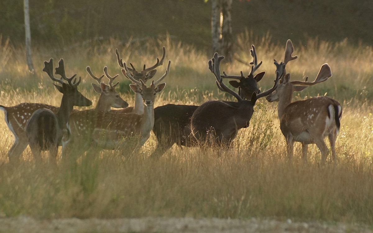 Camping Natuurplezier