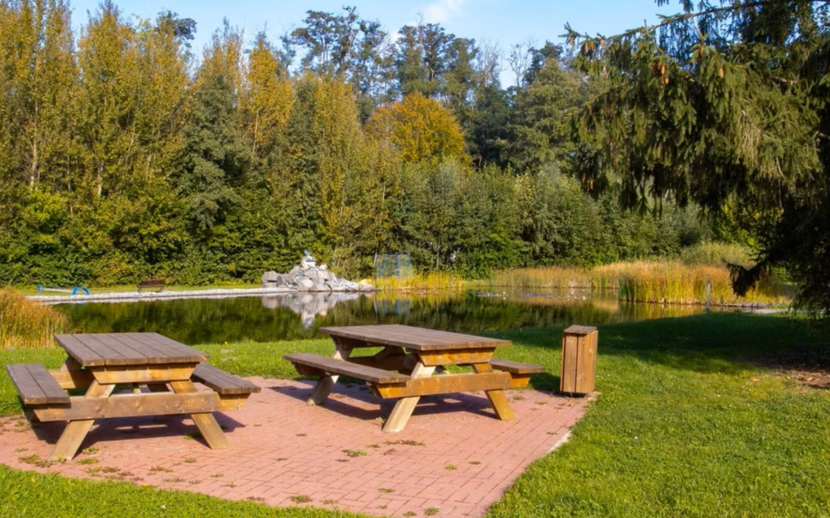 Regenbogen Bad Gandersheim