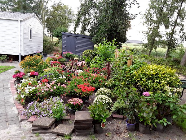 Familie Brandsma Faber-3
