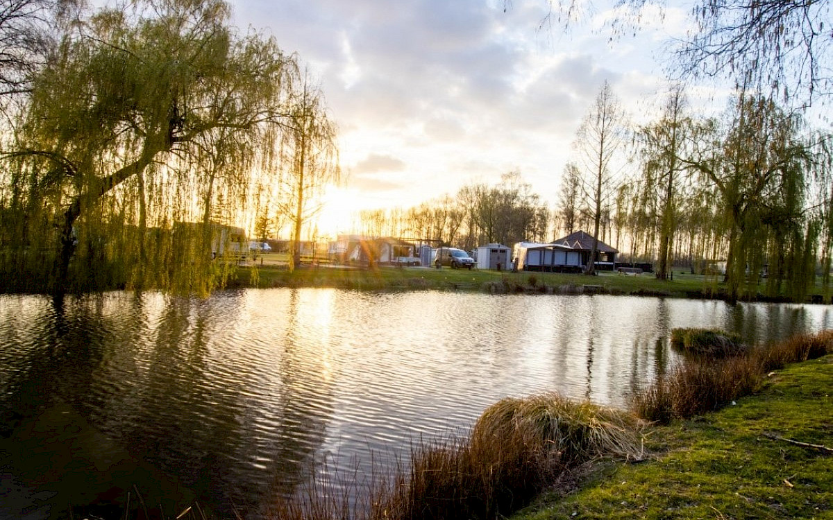 Camping Papillon Kinrooi