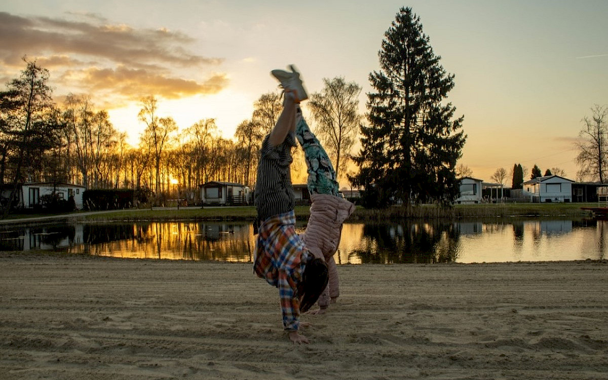 Camping Papillon Kinrooi