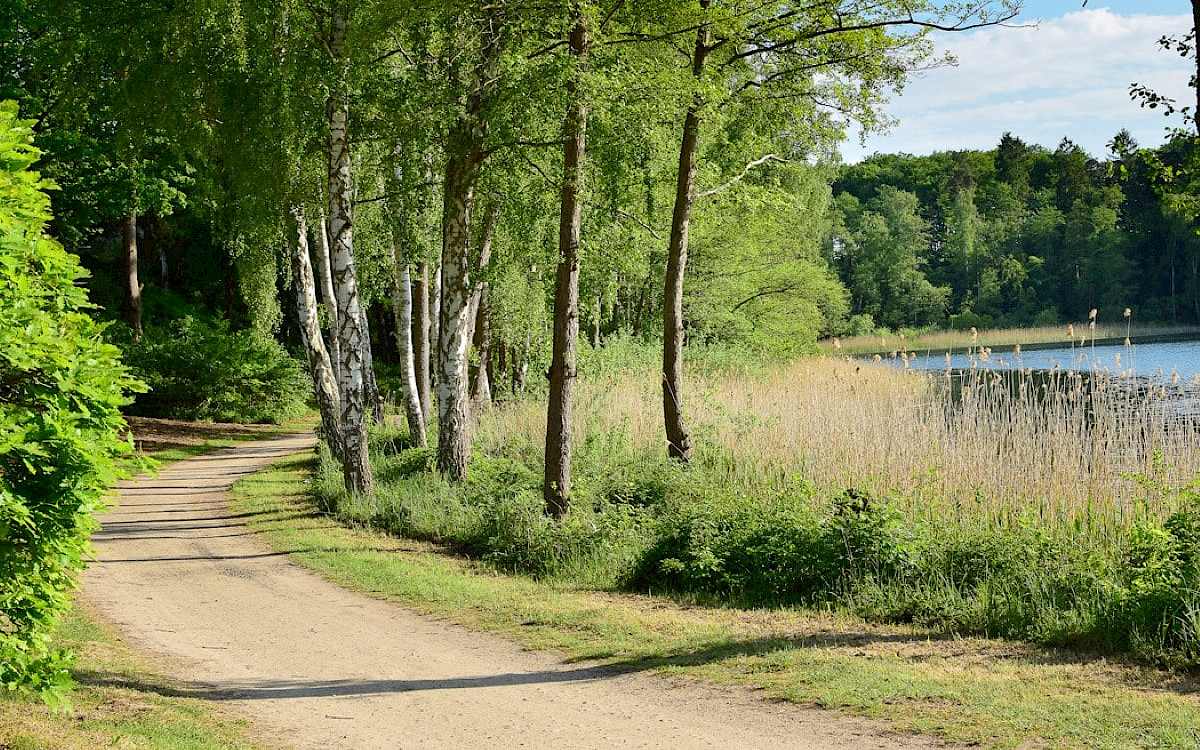 Salemer See Natur-Campingplatz